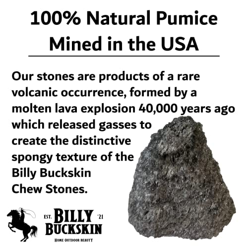 Volcanic Pumice Chinchilla Chew Block B42730