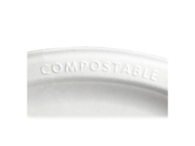 Compostable Sugarcane Plates - 10 X82555