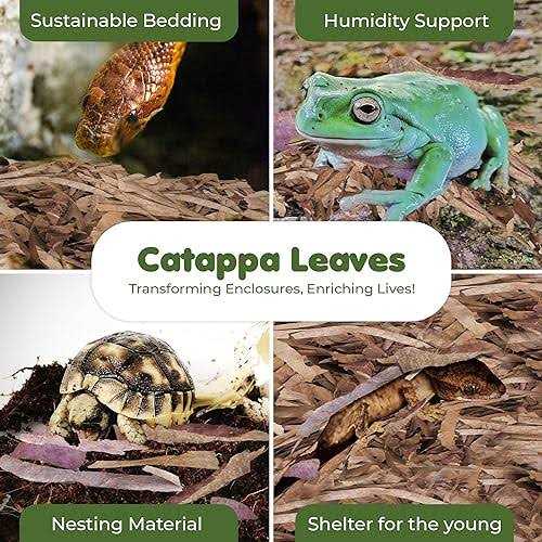Dwarf Frog Mini Catappa Leaves H8177
