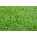 Perennial Ryegrass Seed Blend, 5000 Sq. ft. O8100