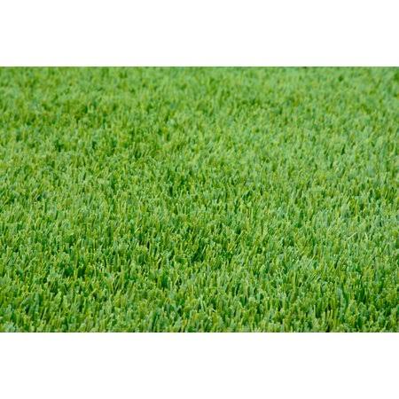Perennial Ryegrass Seed Blend, 5000 Sq. ft. O8100
