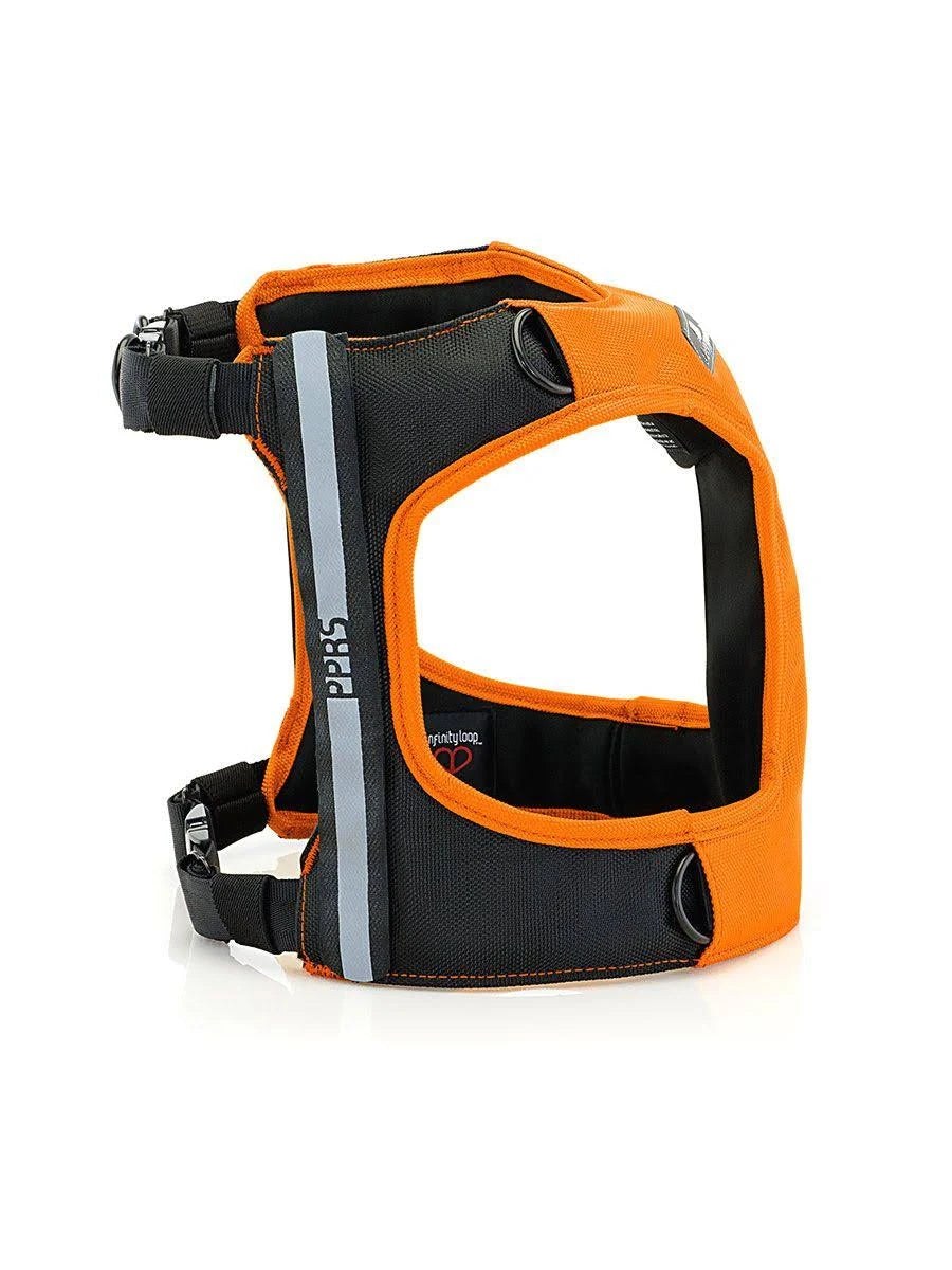 Large Black Dog Car Harness R54307