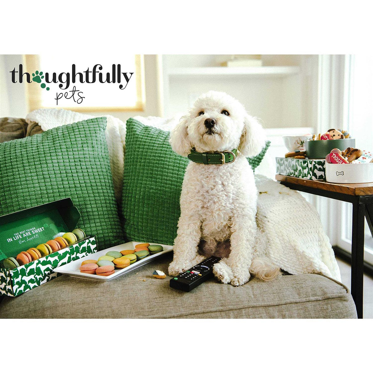 Dog Happy Birthday Mini Cookie Cake B288