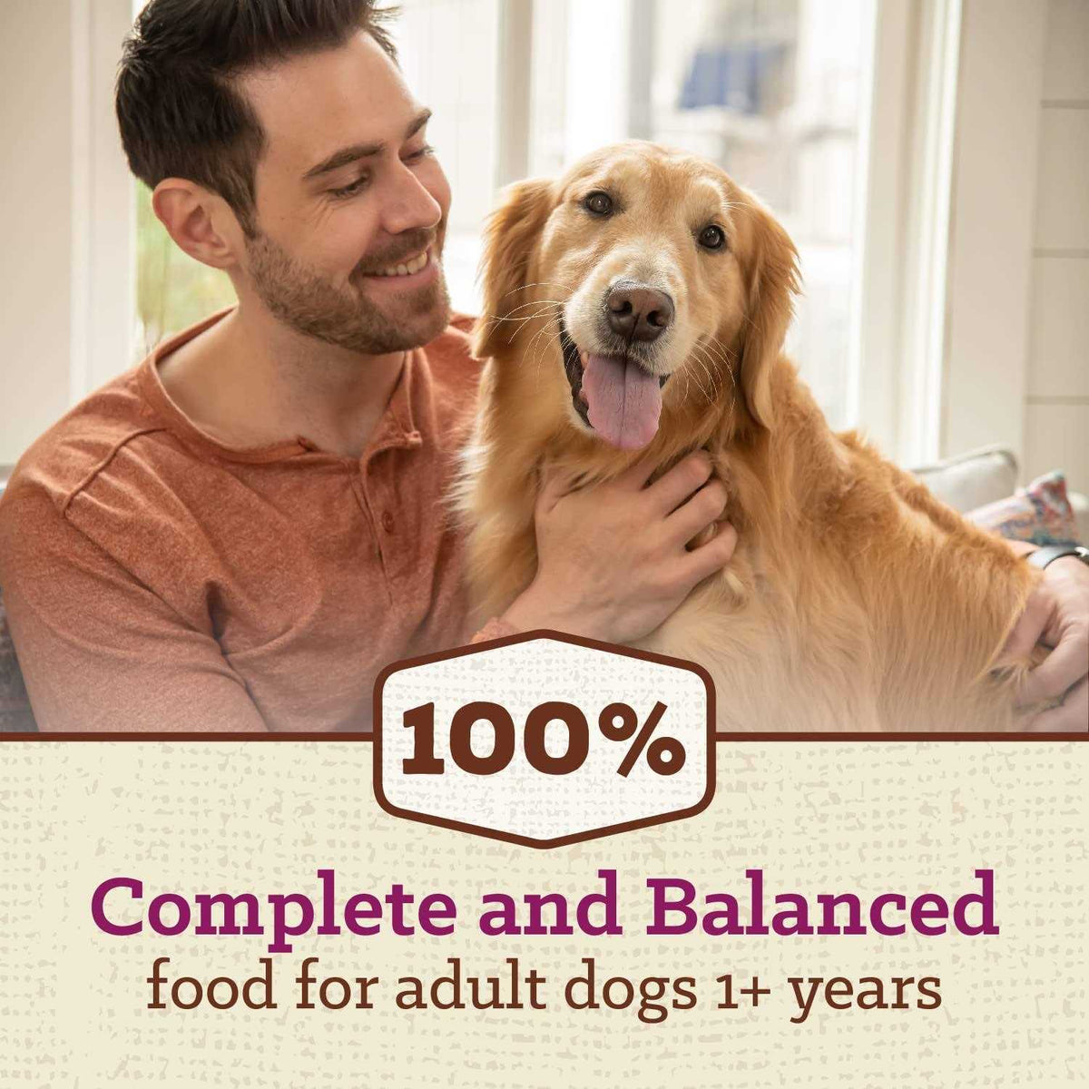 Adult Dry Dog Food with Chicken P93916