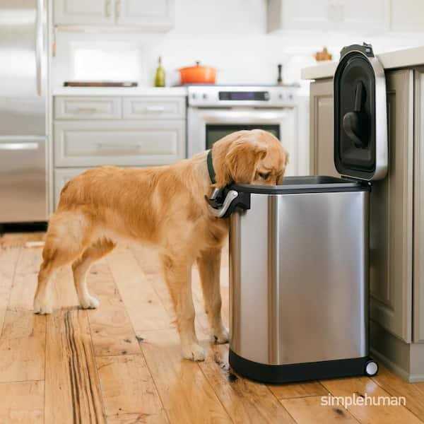Stainless Steel Pet Food Storage A361