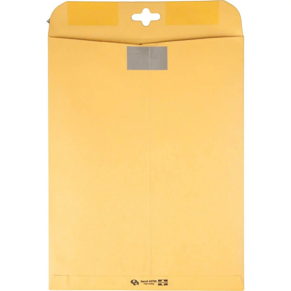 Brown Kraft Envelopes, 10 x 13, 100/Box P995523