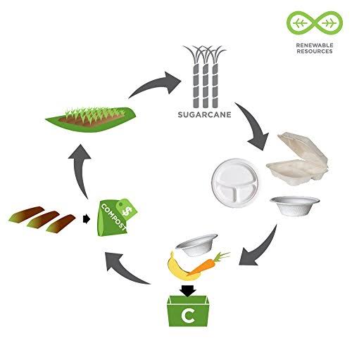 Compostable Sugarcane Plates - 10 X82555