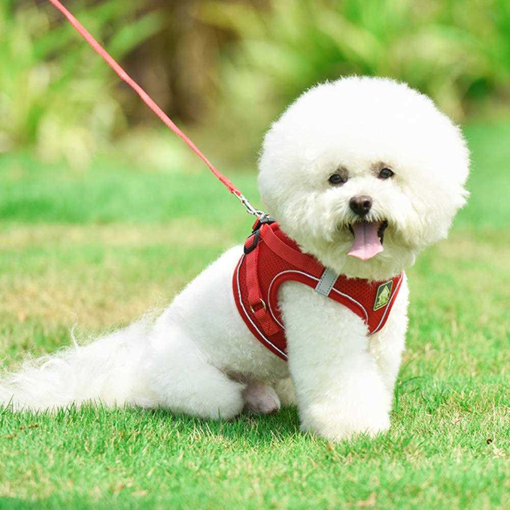 No-Pull Soft Mesh Reflective Adjustable Dog Harness and Leash Set L8322