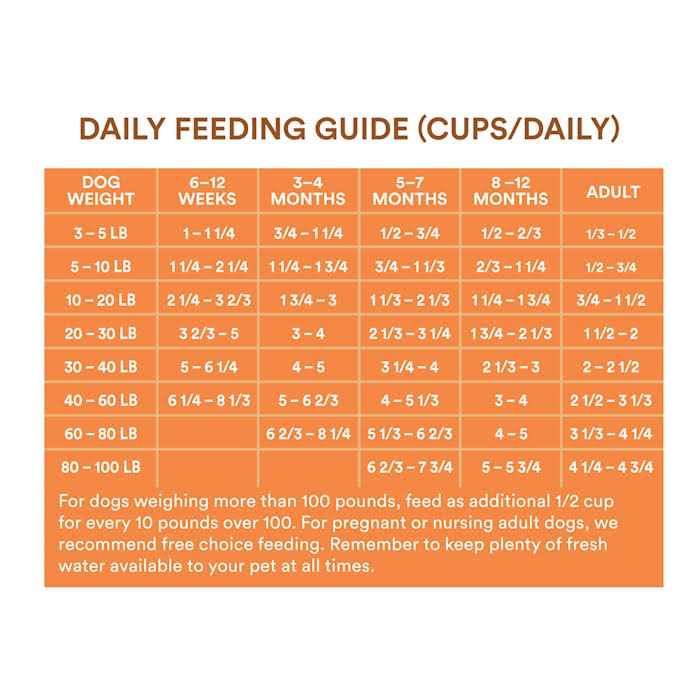 Chicken and Brown Rice Recipe Dry Puppy Food N18126