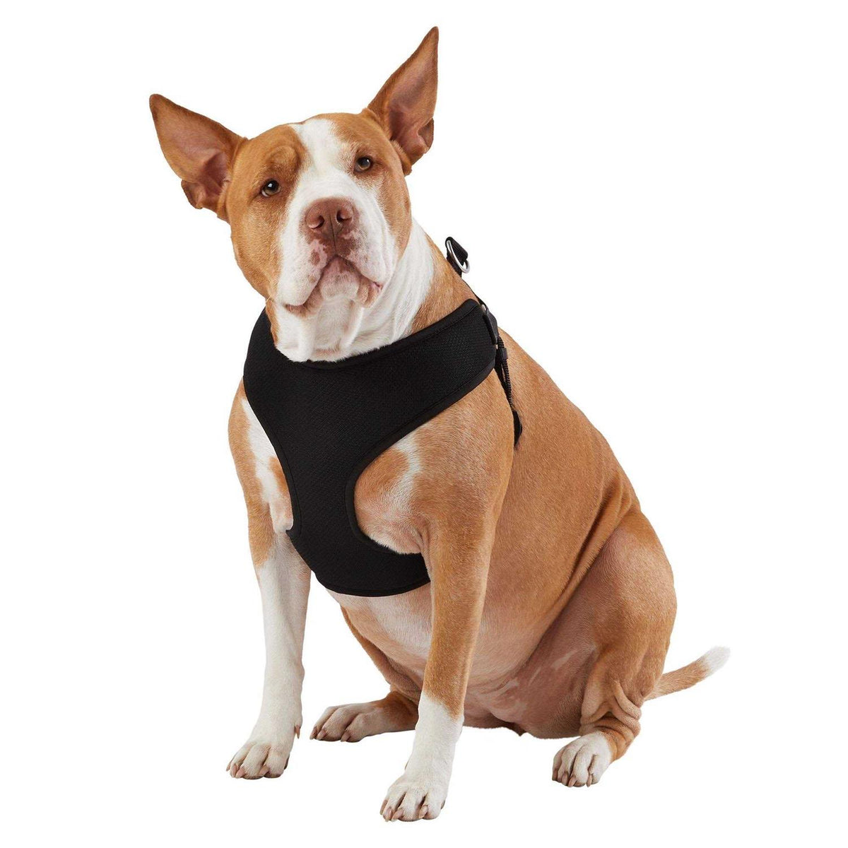 Mesh Comfort Dog Harness T99300