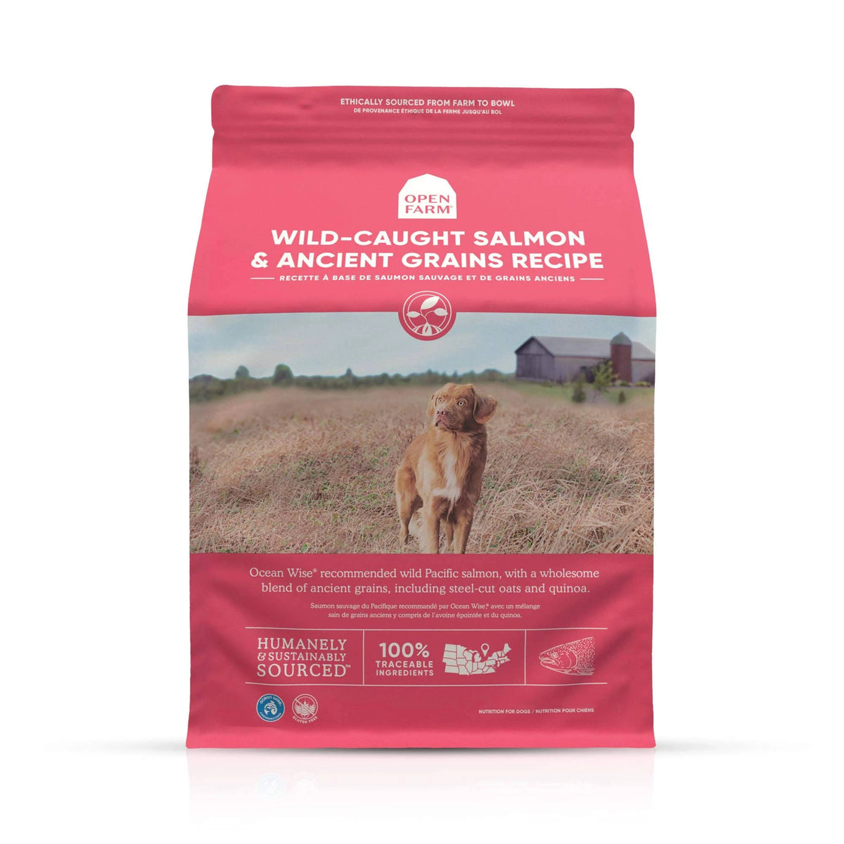 22 lbs Dry Dog Food N904809