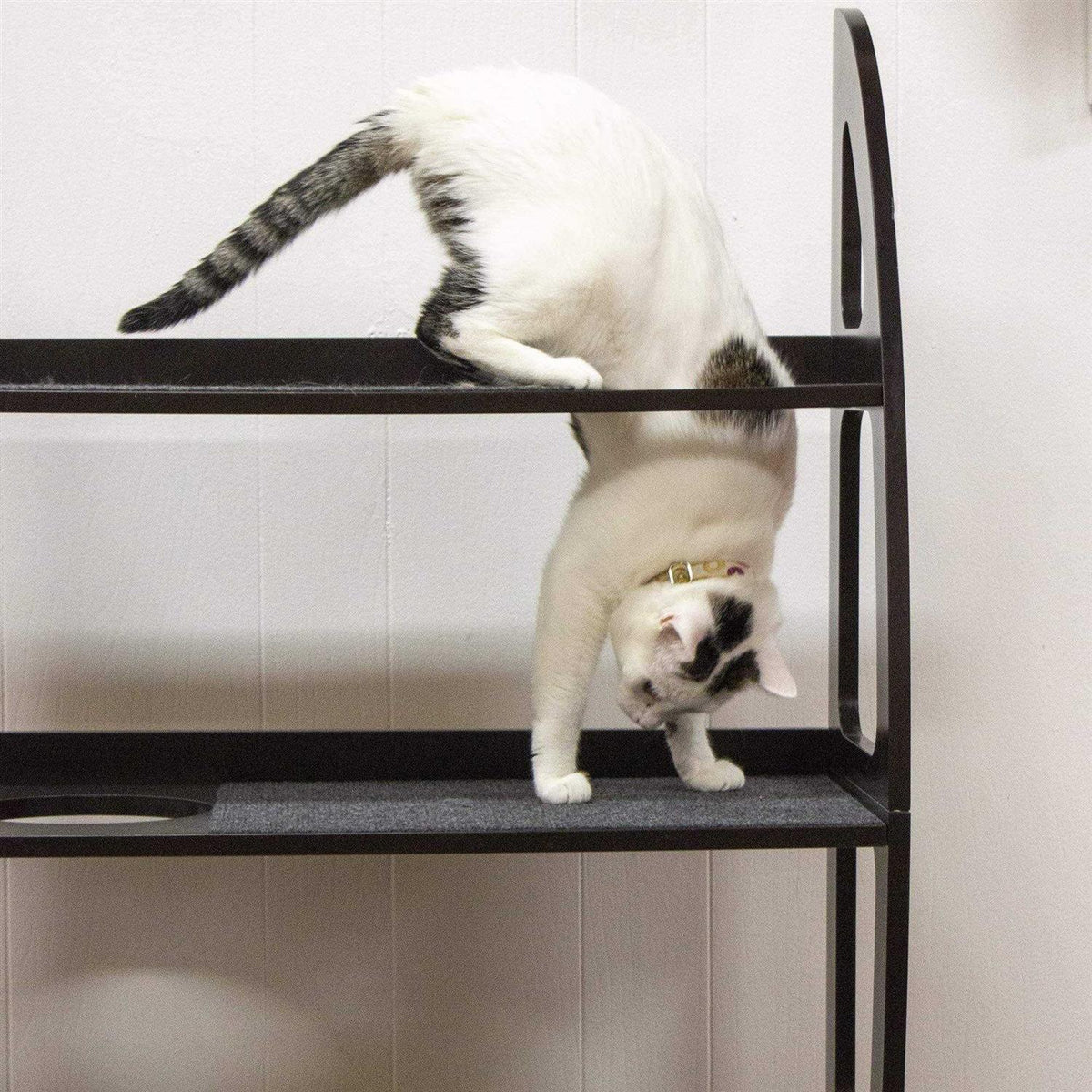 Hanging Cat Tree J604