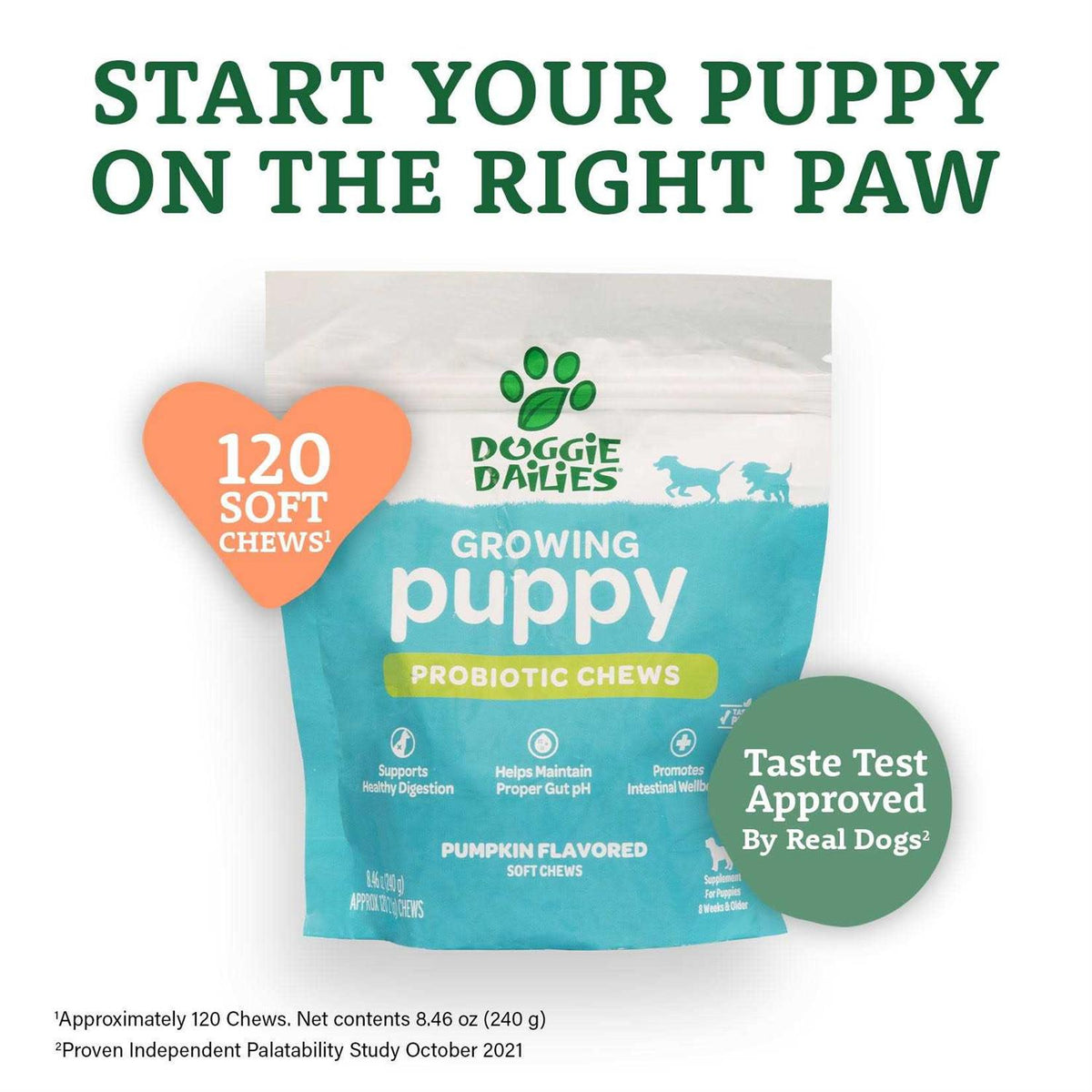 Puppy Probiotic with Digestive Enzymes Z15778