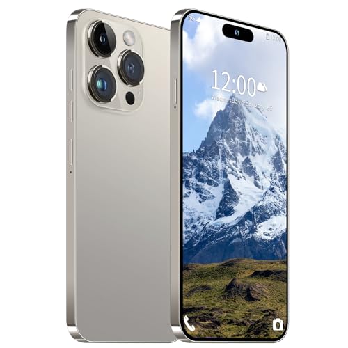 Unlocked Smartphone 6.8" HD Screen 6800mAh 6+256GB with 128GB Memory Card D5653