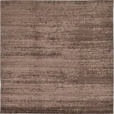 8 Pi Brown Area Rug S1663