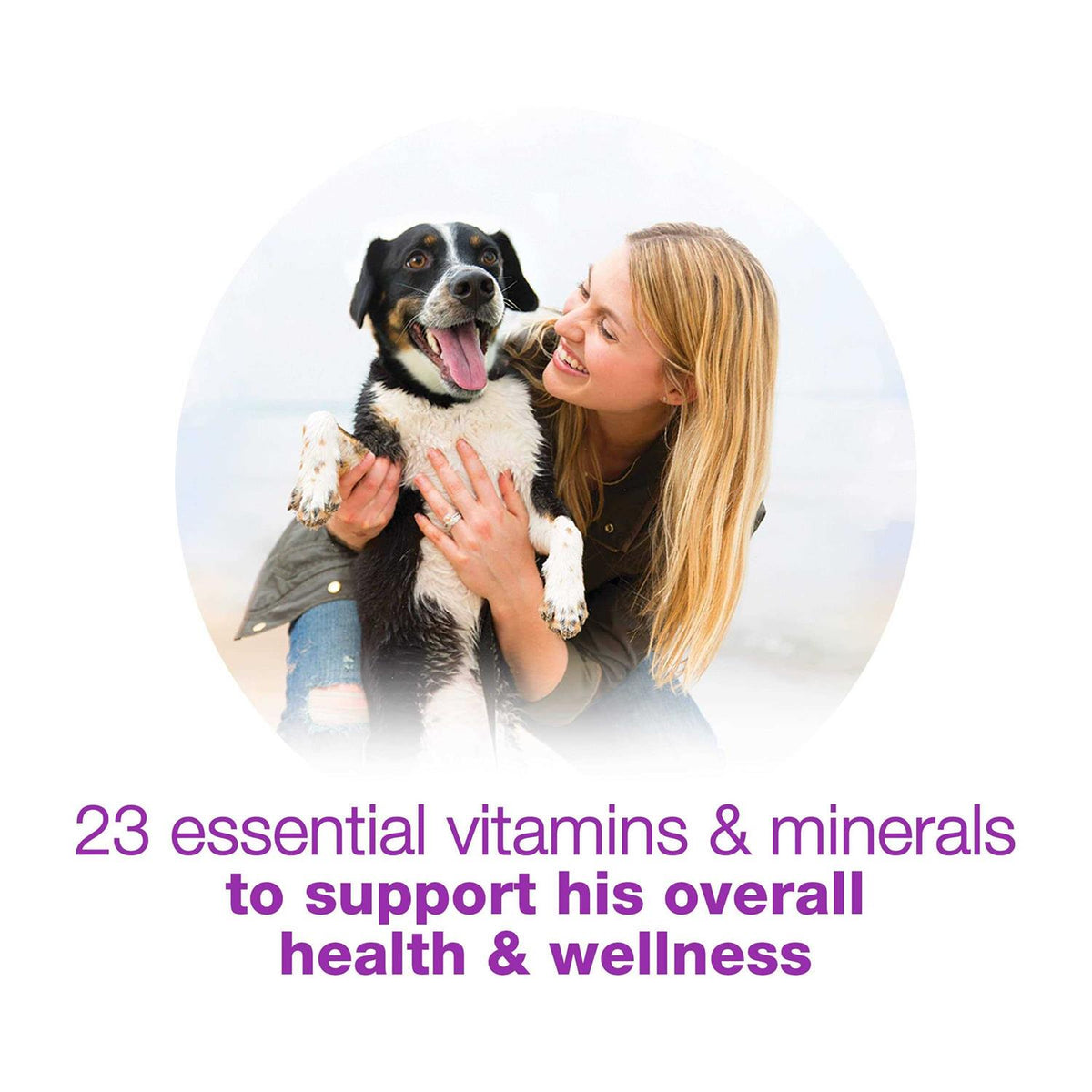 Wet Dog Food R810
