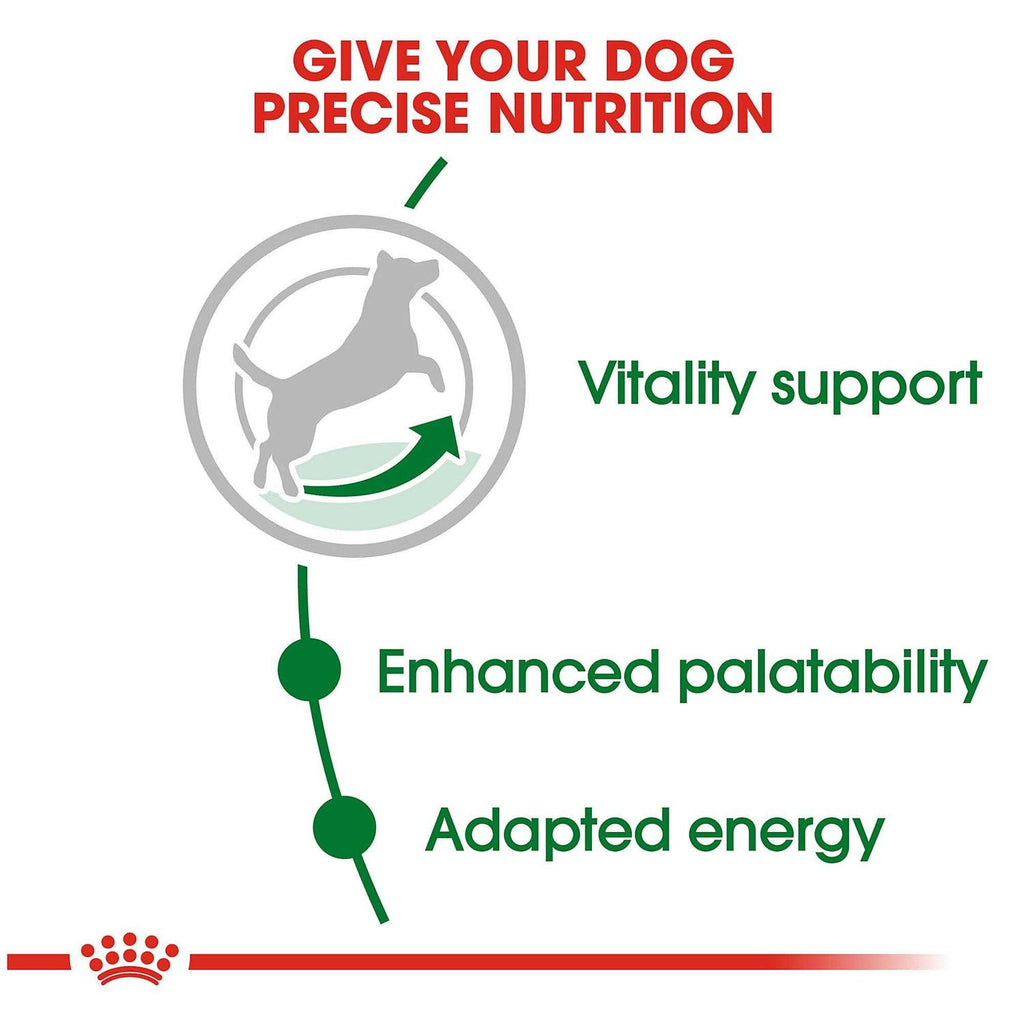 Dry Dog Food E4843