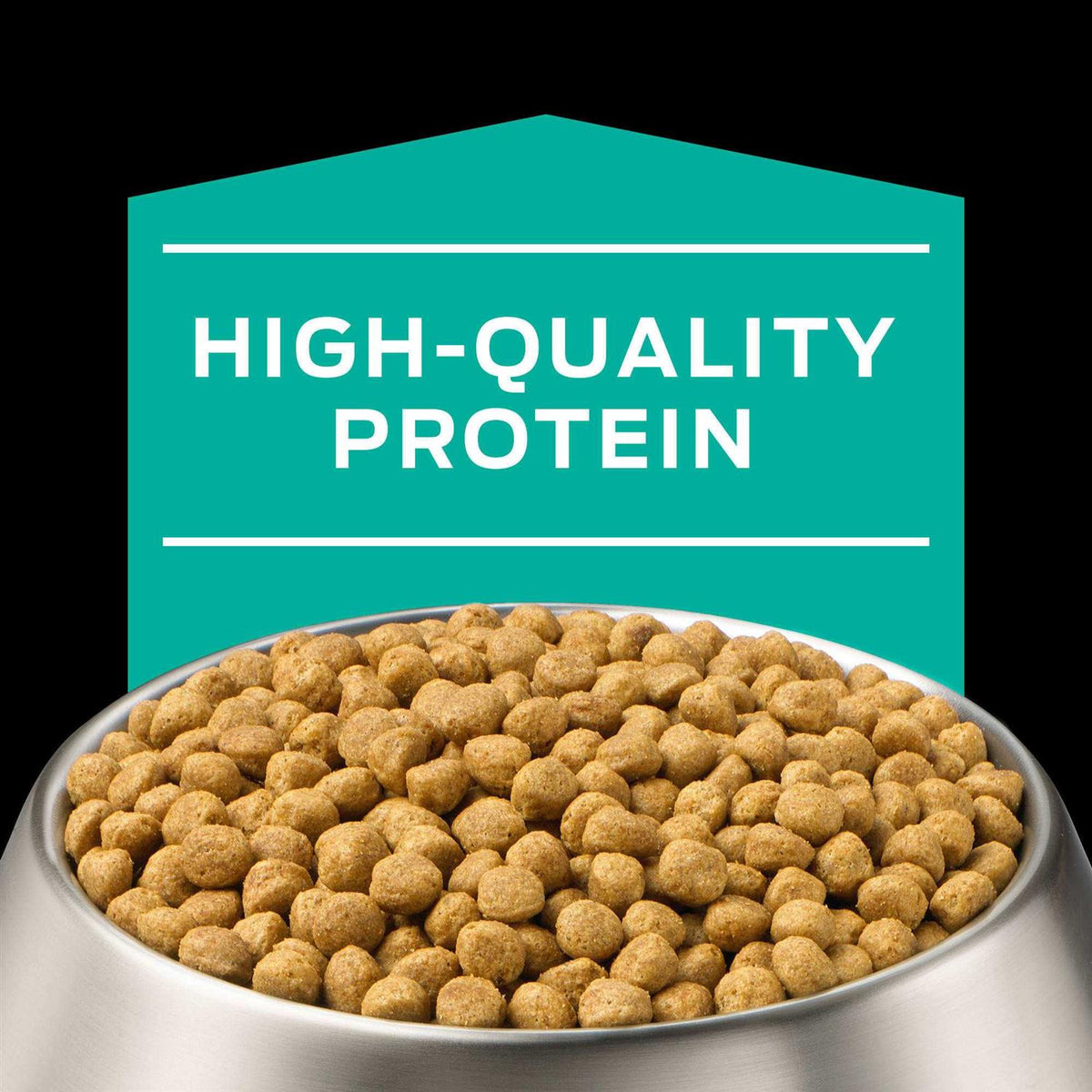 Gastroenteric Dry Dog Food O581
