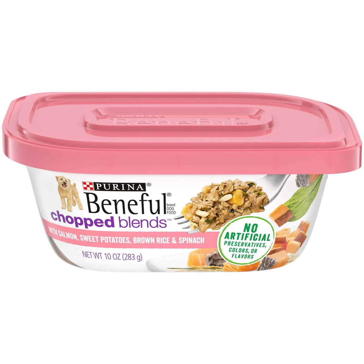 Wet Dog Food R810