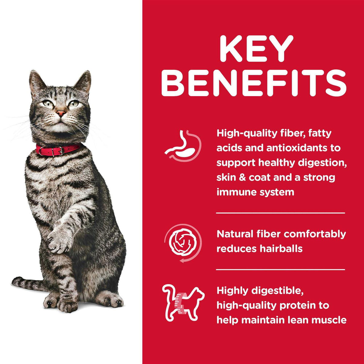 Adult Dry Cat Food M6967