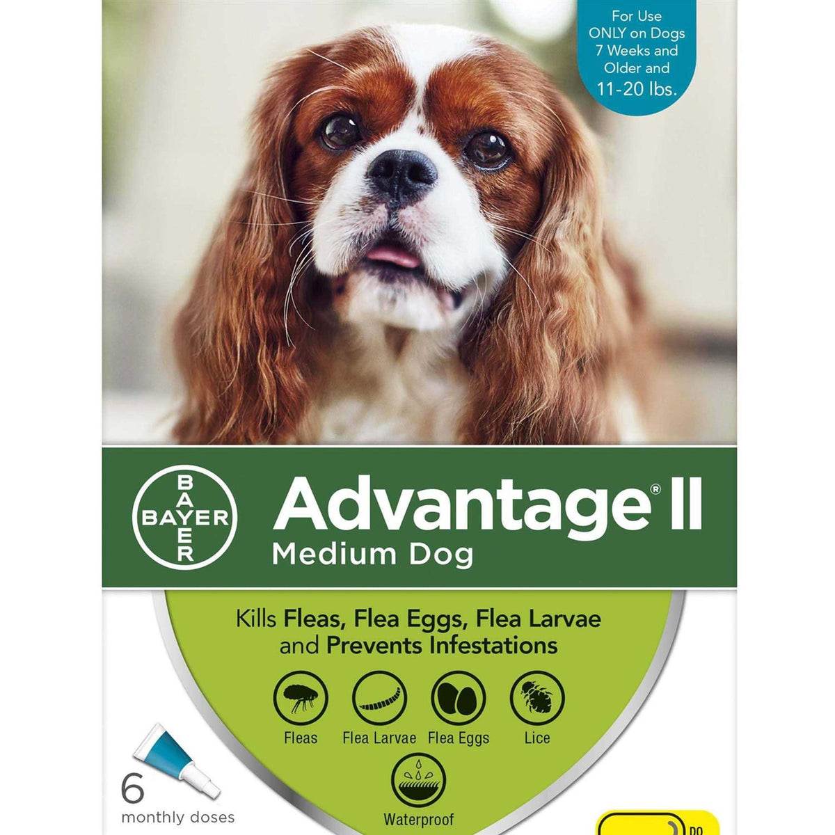 Advantage II for Dogs N3788