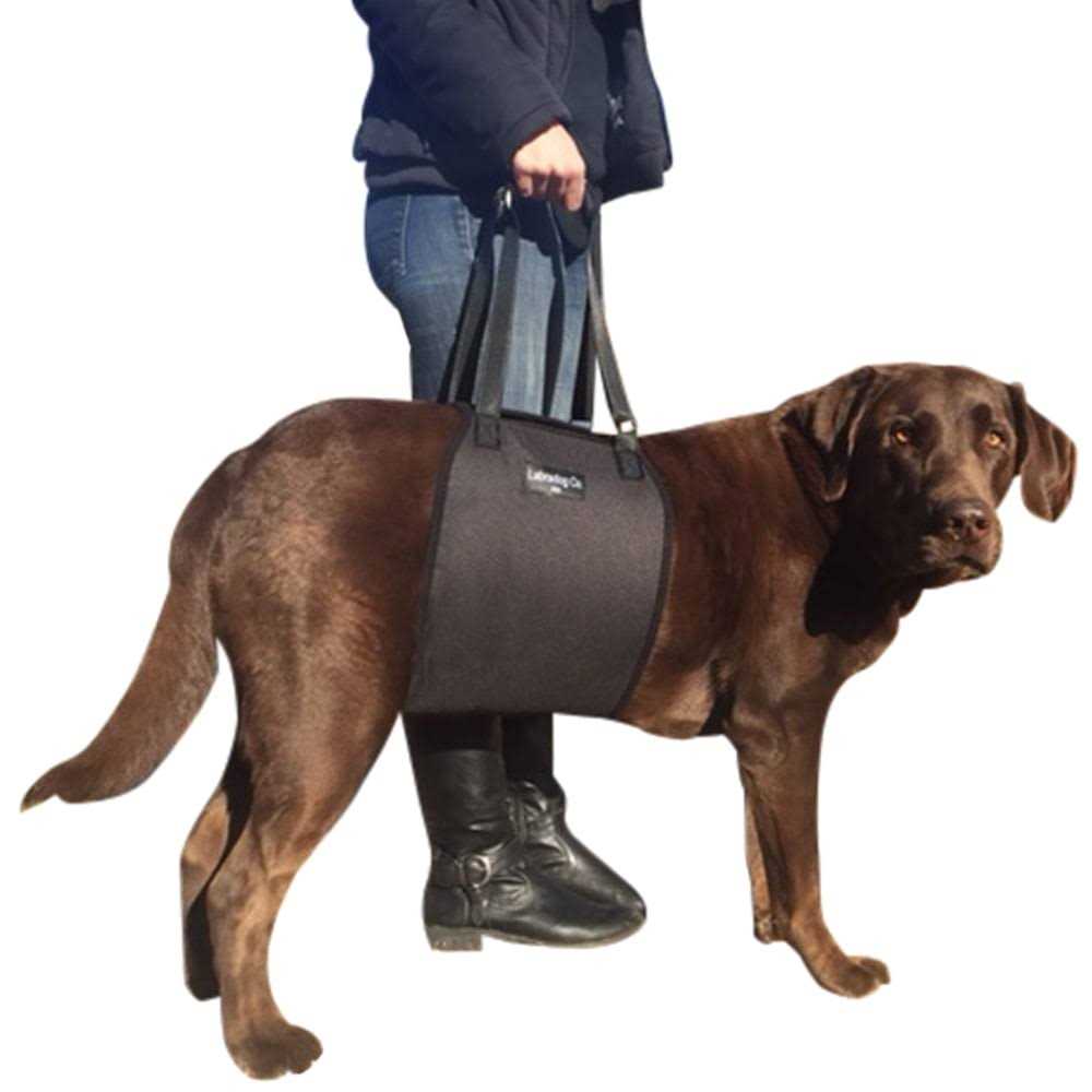 Veterinarian Approved Dog Sling Lift Adjustable Support Harness T96463