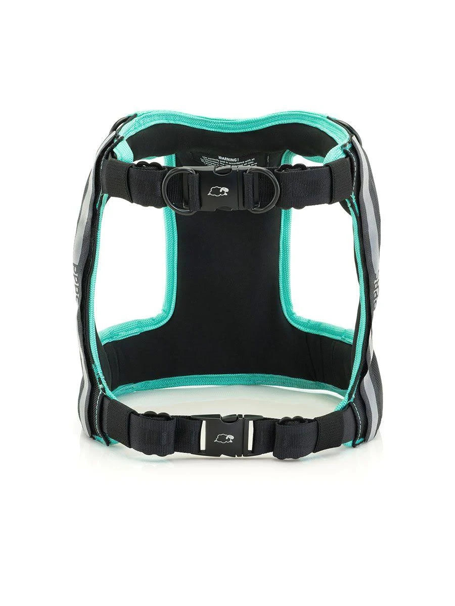 Large Black Dog Car Harness R54307