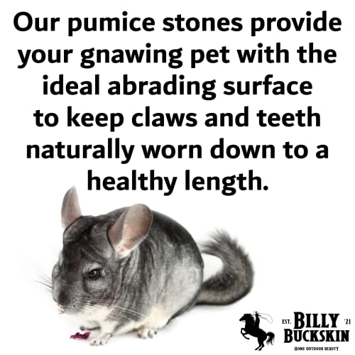 Volcanic Pumice Chinchilla Chew Block B42730