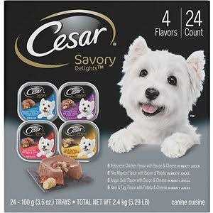 Grain-Free Small Breed Adult Wet Dog Food Trays B117151