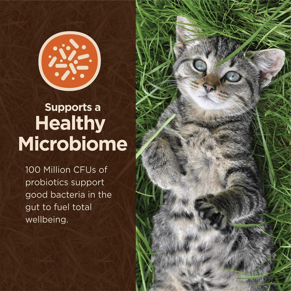 Chicken & Rice Dry Cat Food L344