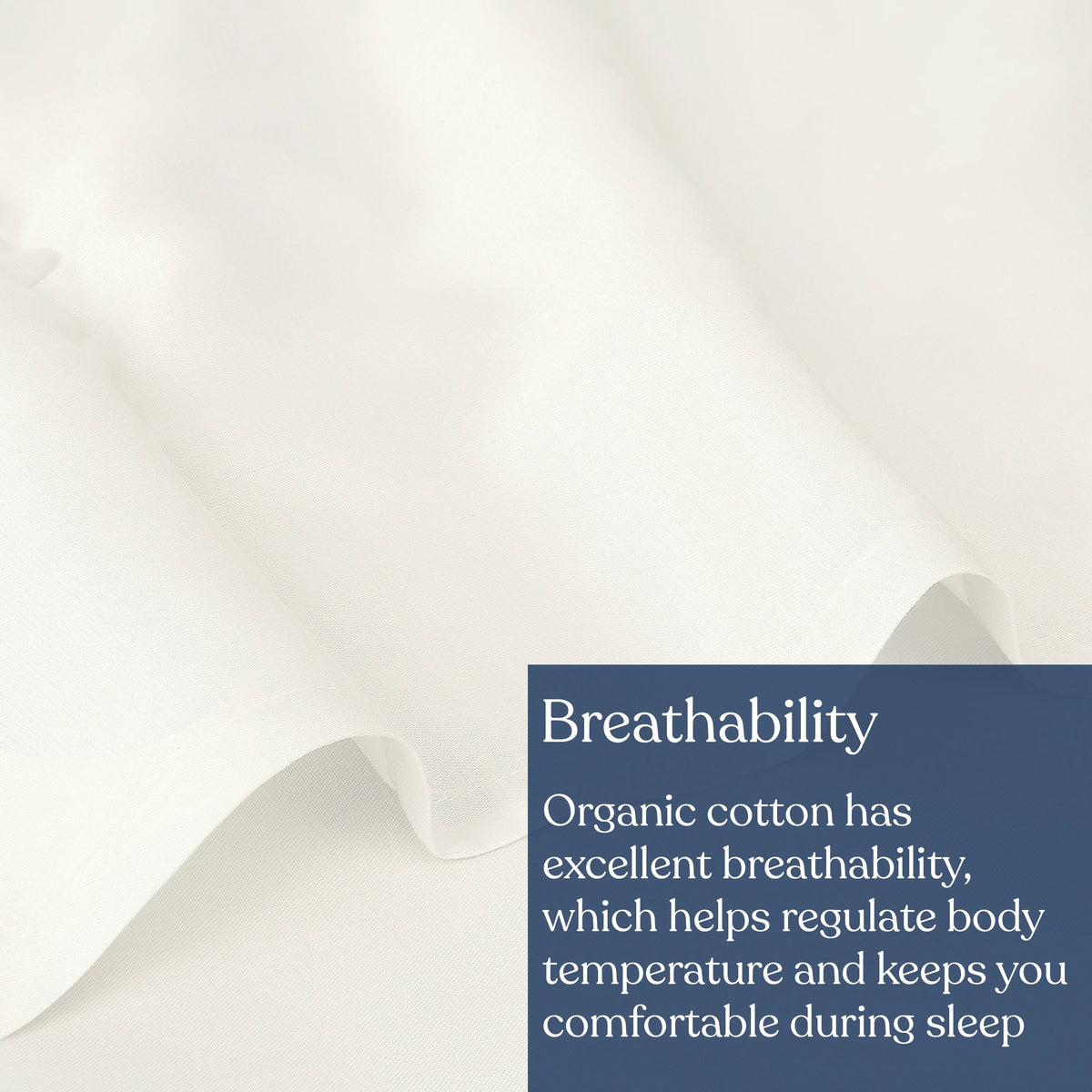 100% Organic Cotton Full Flat Sheet D65517