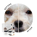 Dog Tear Stain Remover Starter Kit With Powder Brush P9973
