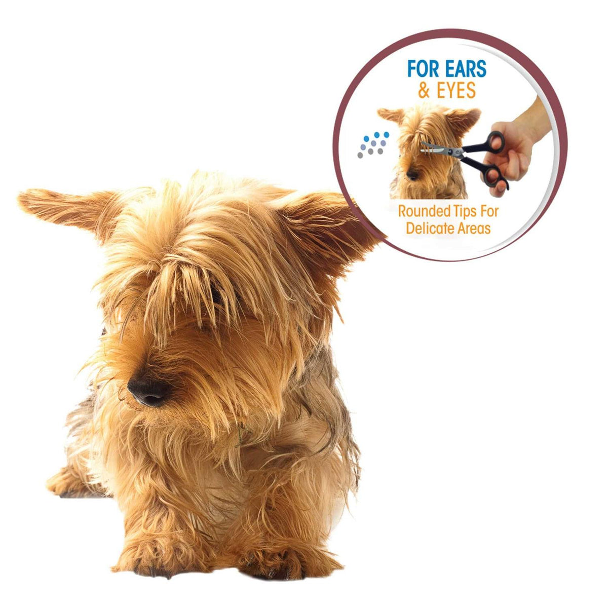 Pet Ear and Eye Scissors C2487