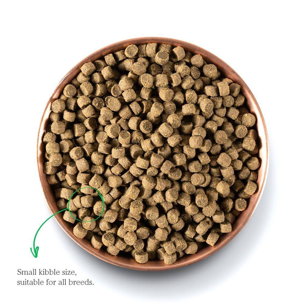 22 lbs Dry Dog Food N904809