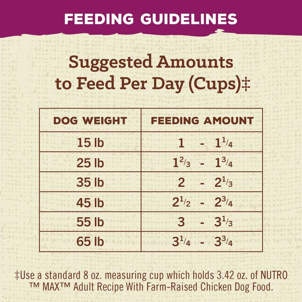 Adult Dry Dog Food with Chicken P93916