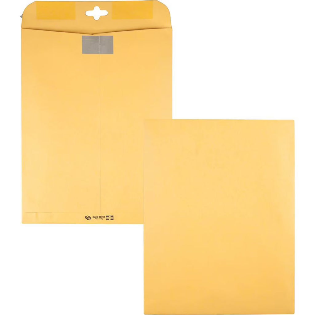 Brown Kraft Envelopes, 10 x 13, 100/Box P995523