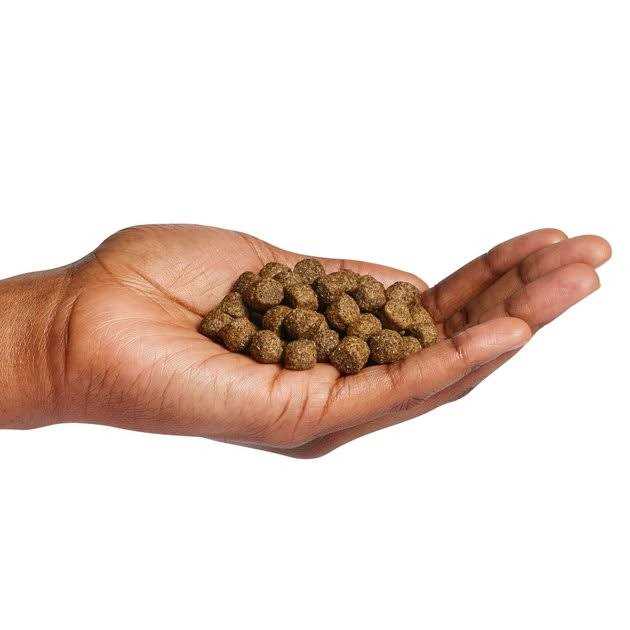 Dog Food T341