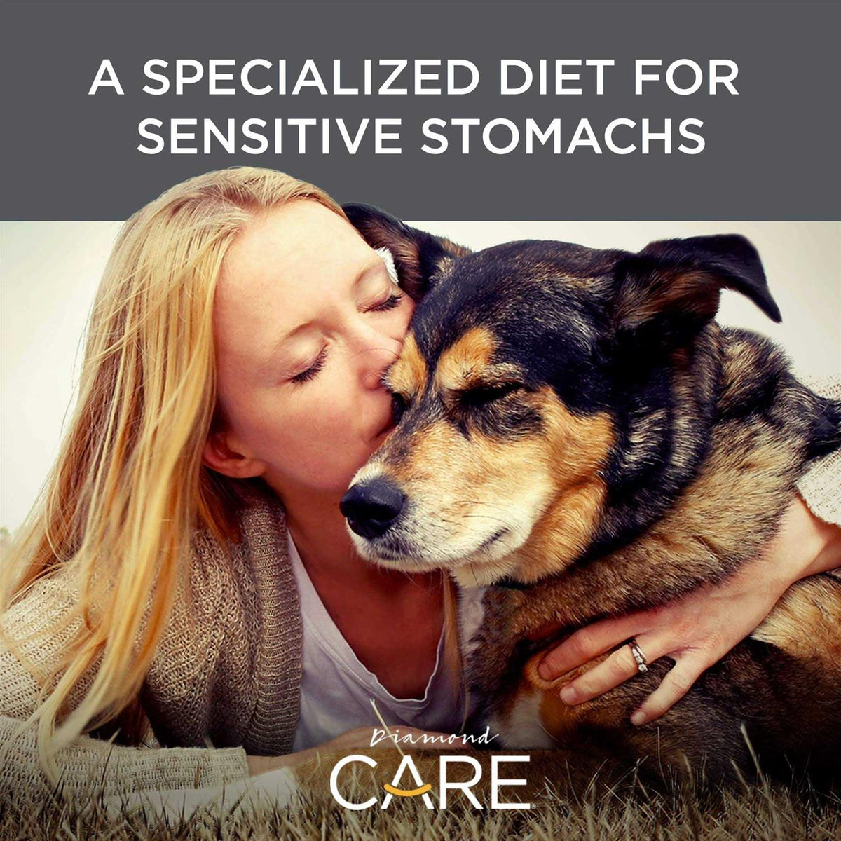 Sensitive Stomach Adult Dry Dog Food B6455