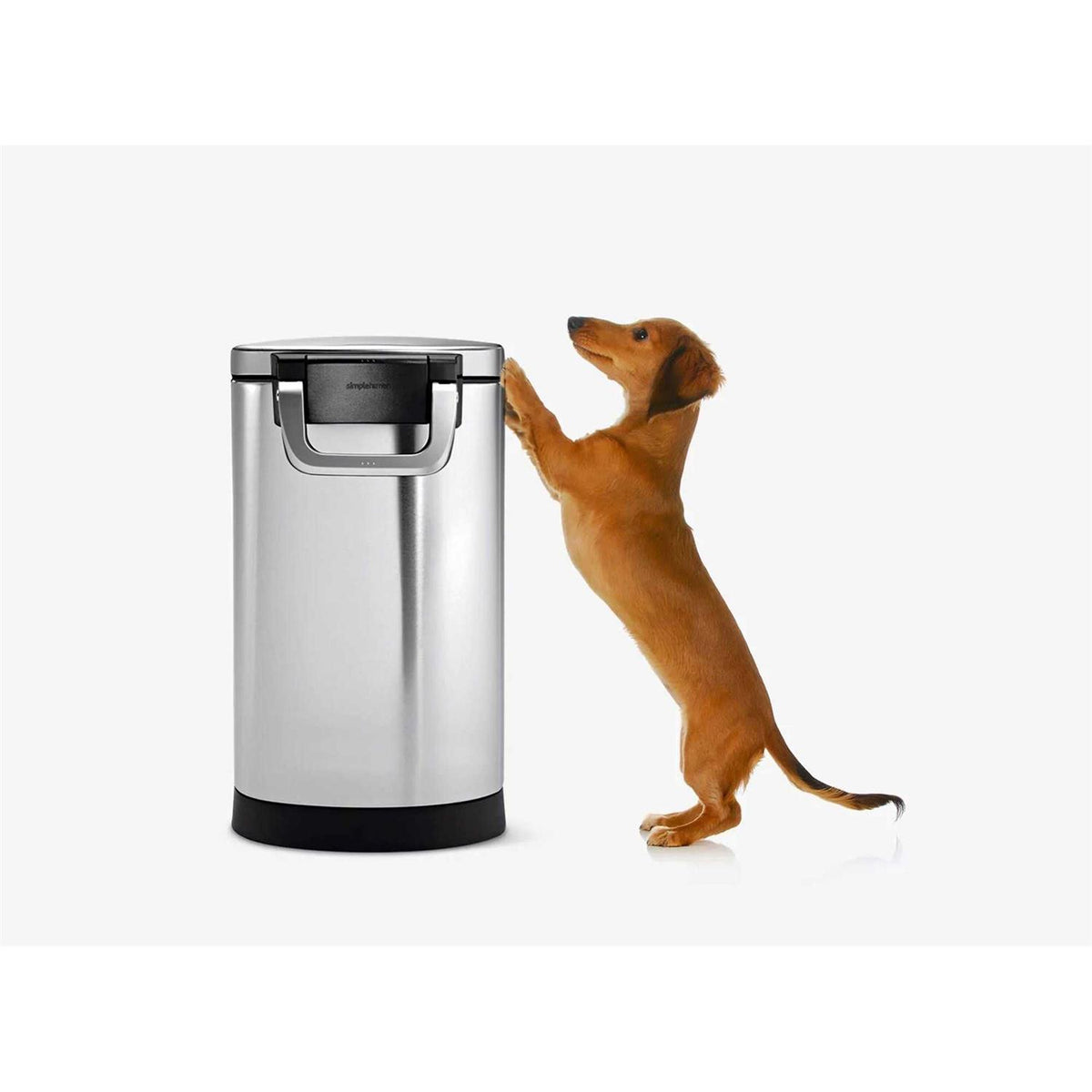Stainless Steel Pet Food Storage A361