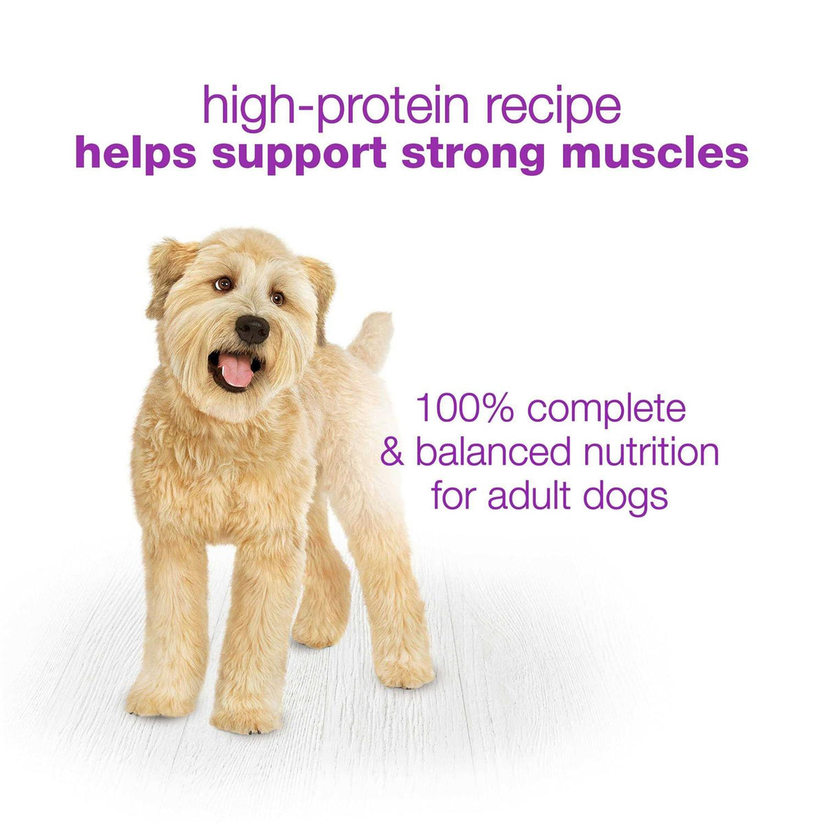 Wet Dog Food R810