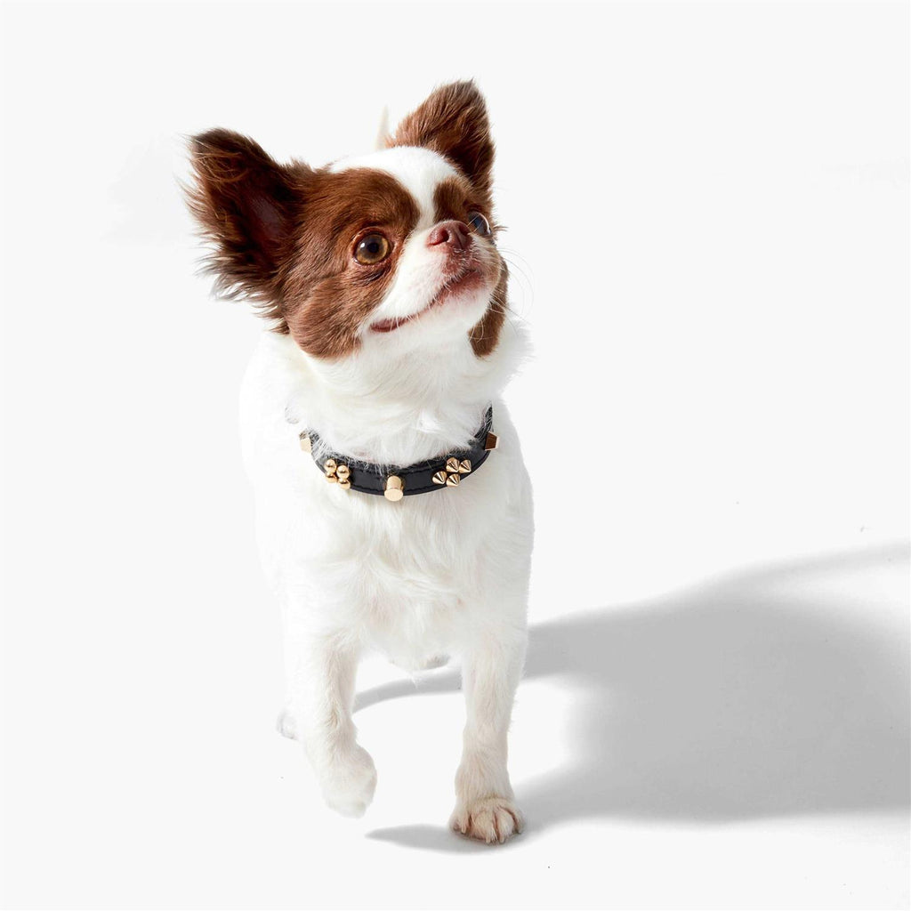 Collar K8761