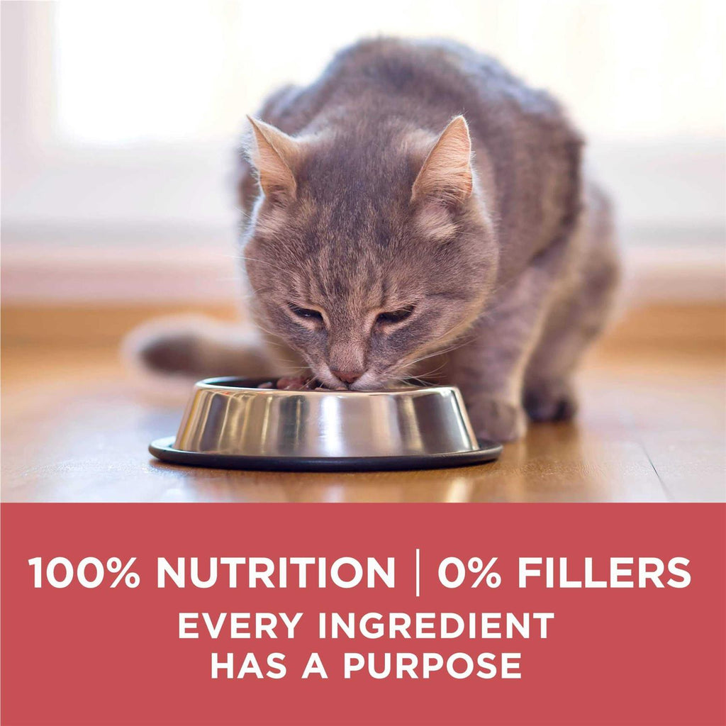 Dry Cat Food H632