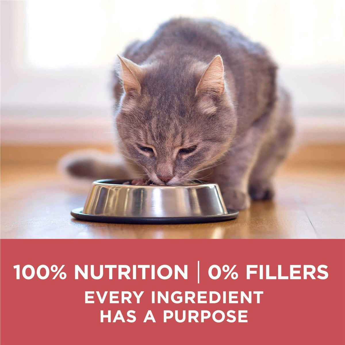 Dry Cat Food H632