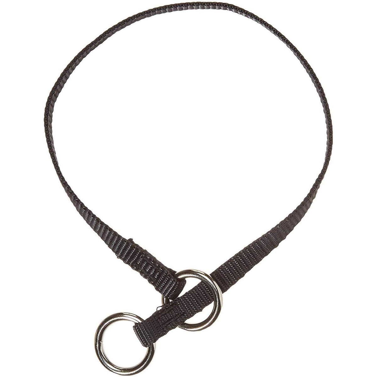 Training Collar F609334