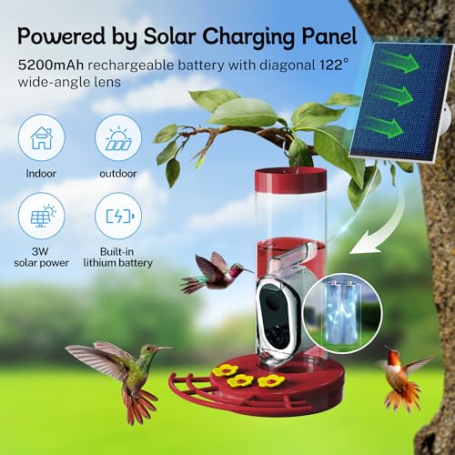 Smart Hummingbird Feeder with Camera Solar-Powered, AI Identify, Cloud Storage, HD Video (20 Ounces) O630