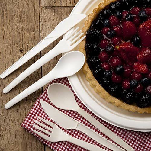 Compostable Sugarcane Plates - 10 X82555