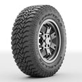 All-Terrain Tire D164