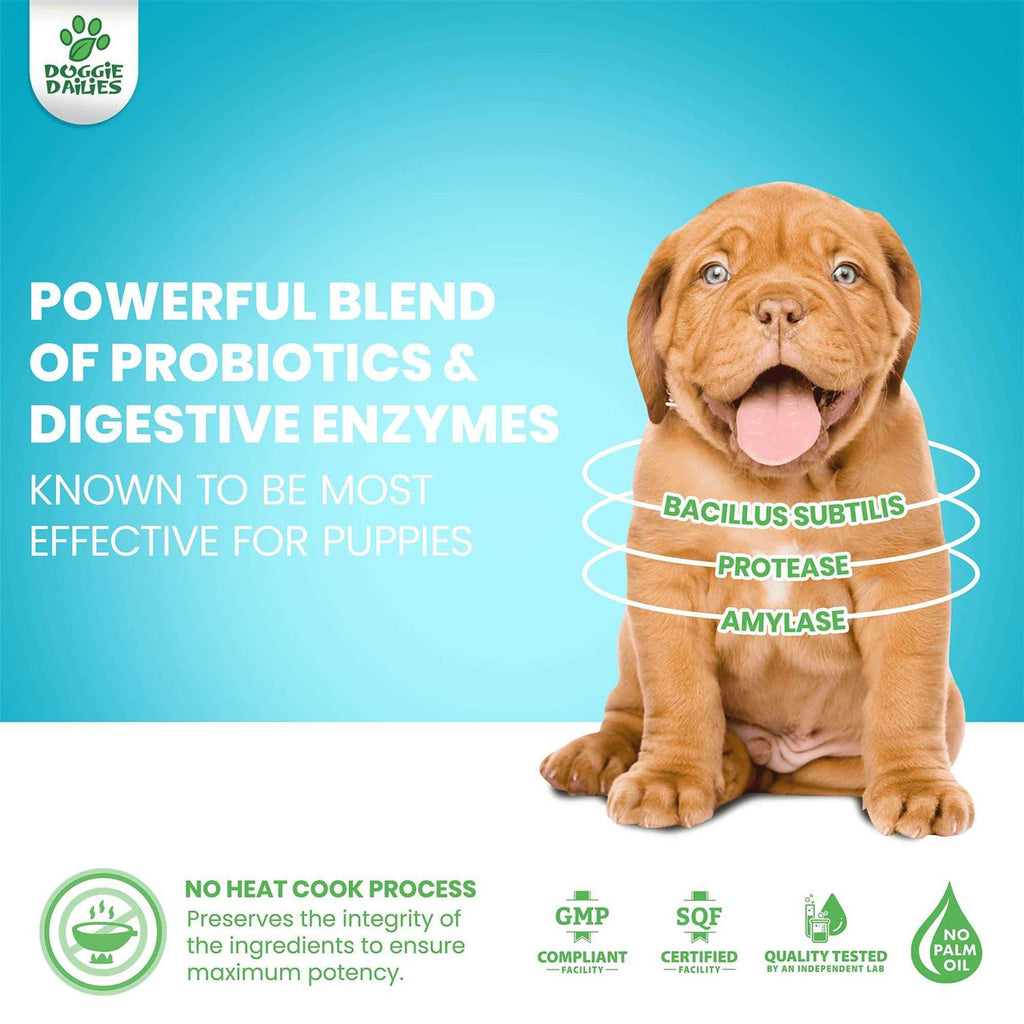 Puppy Probiotic with Digestive Enzymes Z15778