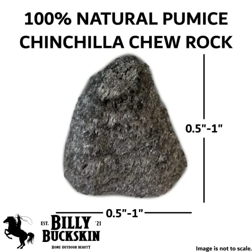 Volcanic Pumice Chinchilla Chew Block B42730