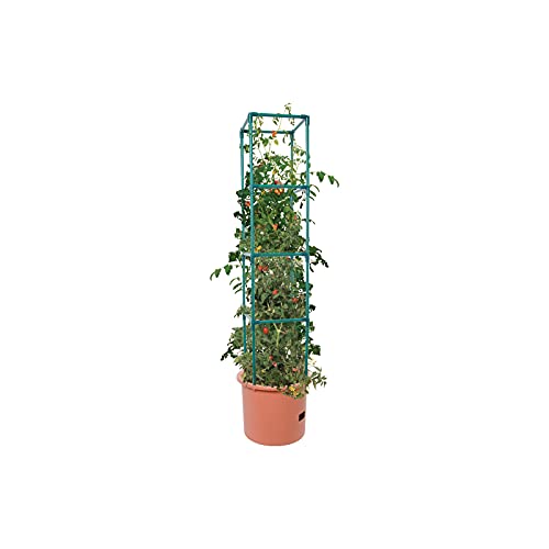 Heavy Duty Tomato Barrel with 4' Tower F72665